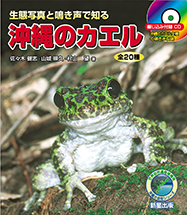 生態写真と鳴き声で知る　沖縄のカエル 全20種