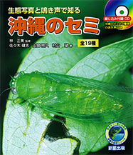 生態写真と鳴き声で知る　沖縄のセミ 全19種