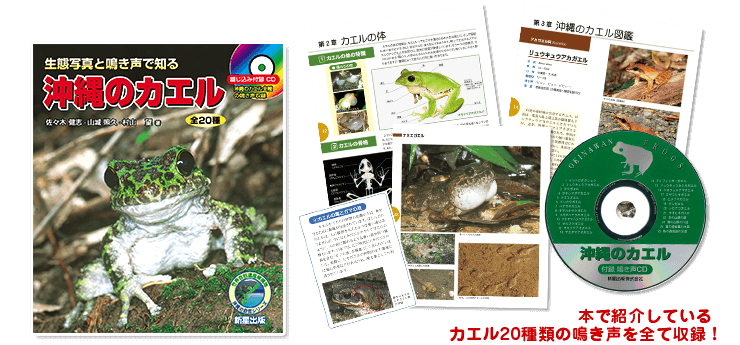 沖縄の自然シリーズ ｜ 新星出版株式会社