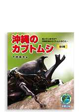 沖縄のカブトムシ 全6種