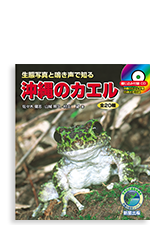 沖縄のカエル 全20種