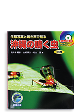 沖縄の鳴く虫 50種