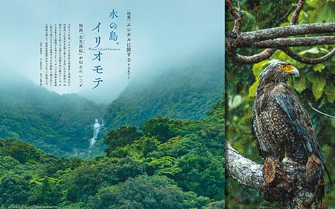 エシカルに旅する