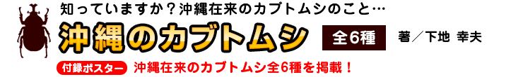 沖縄のカブトムシ 全6種