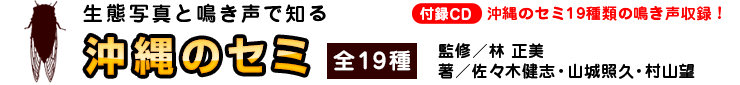 生態写真と鳴き声で知る 沖縄のセミ 全19種