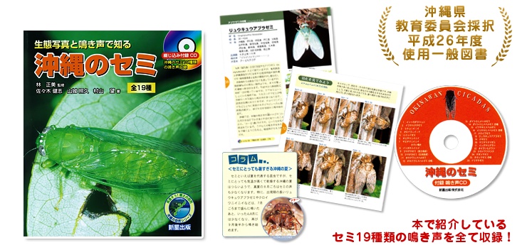 【付録CD】沖縄のセミ19種類の鳴き声収録! 沖縄県教育委員会採択平成26年度使用一般図書