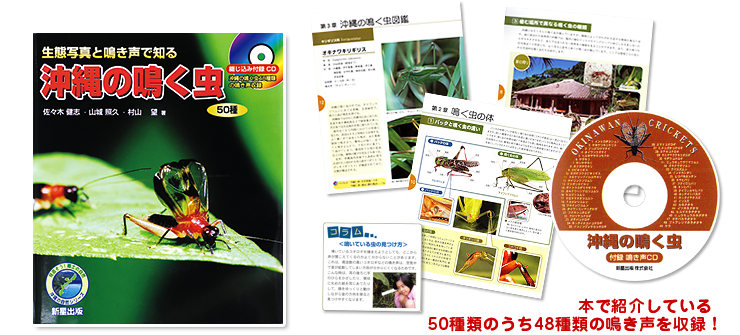 【付録CD】沖縄の鳴く虫48種類の鳴き声を収録! 本で紹介している50種類のうち48種類の鳴き声を収録!