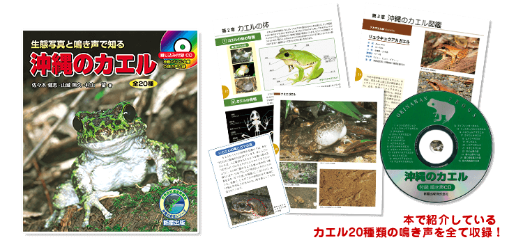 【付録CD】沖縄のカエル全20種類の鳴き声を収録! 【付録CD】沖縄のカエル全20種類の鳴き声を収録!